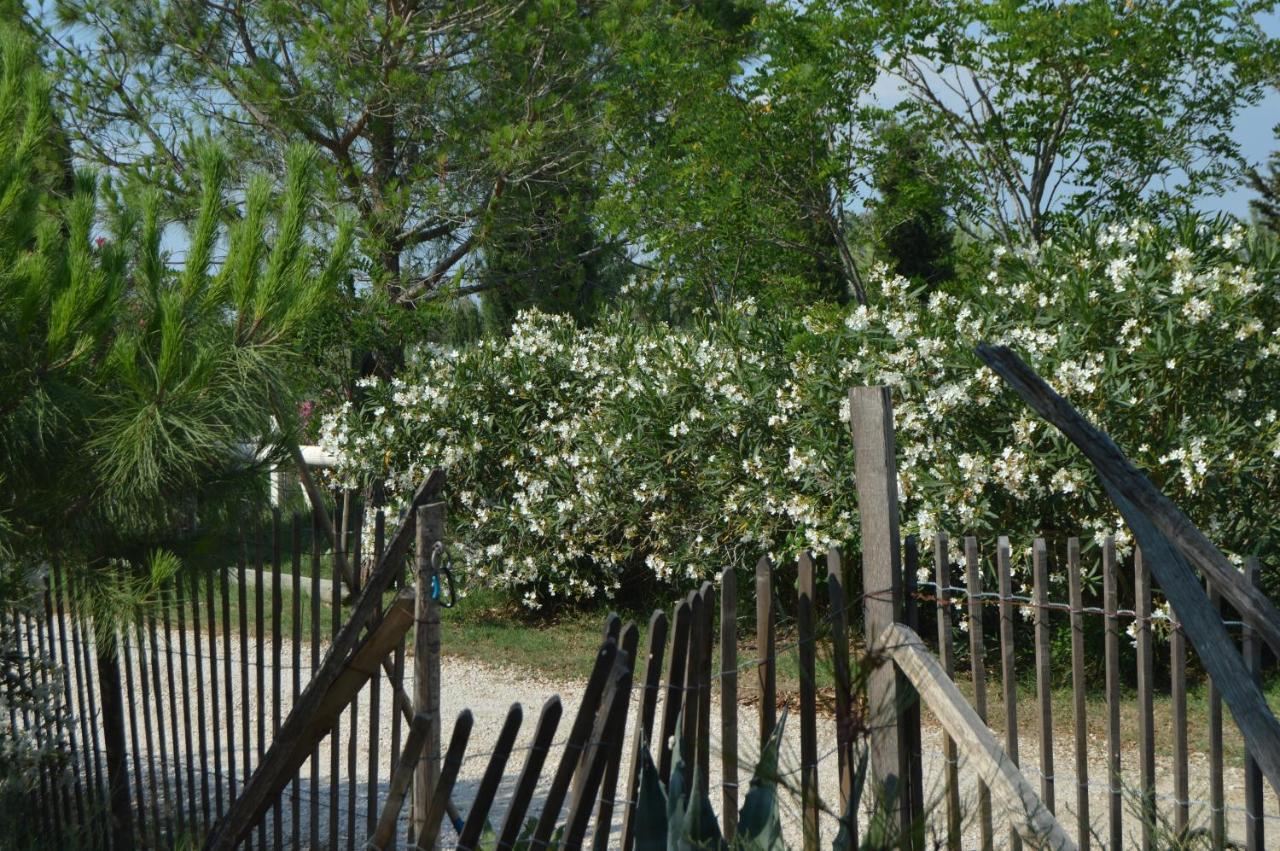 Bergerie D'Alivon En Camargue Bed and Breakfast Albaron Εξωτερικό φωτογραφία