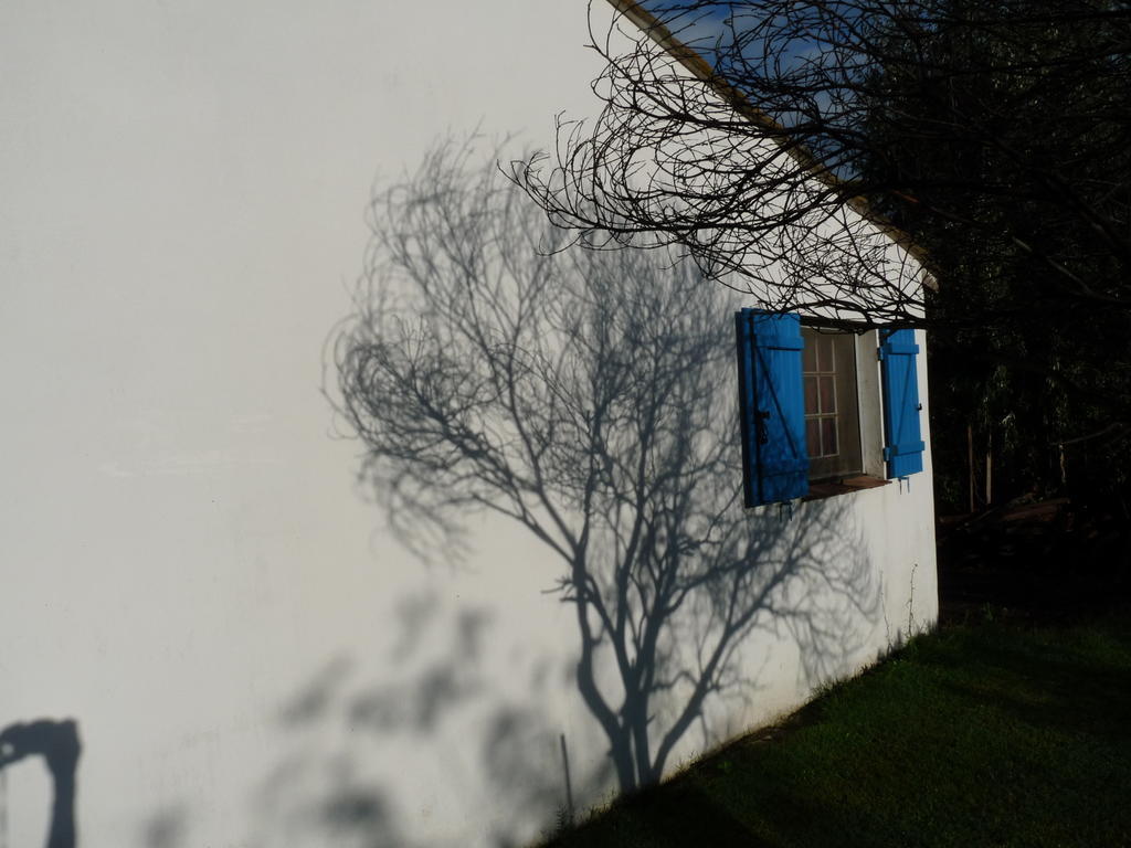 Bergerie D'Alivon En Camargue Bed and Breakfast Albaron Εξωτερικό φωτογραφία