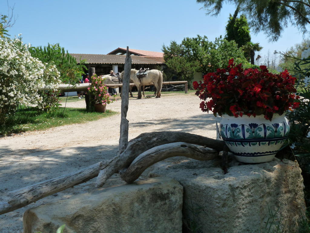 Bergerie D'Alivon En Camargue Bed and Breakfast Albaron Εξωτερικό φωτογραφία